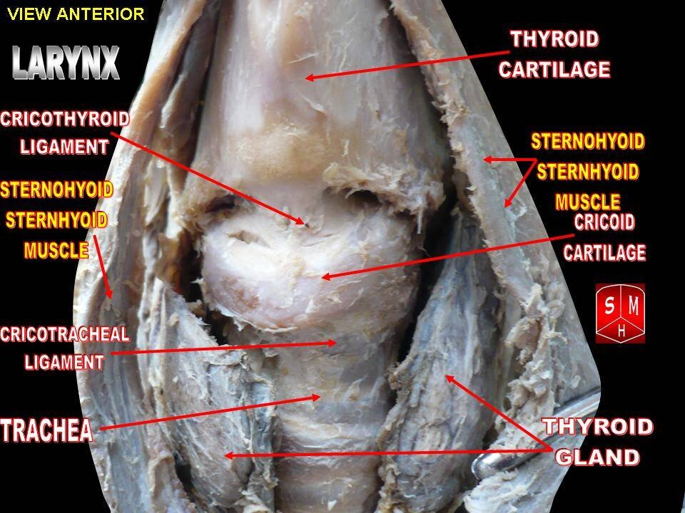 Lesson image