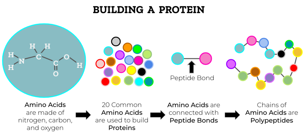 Lesson image