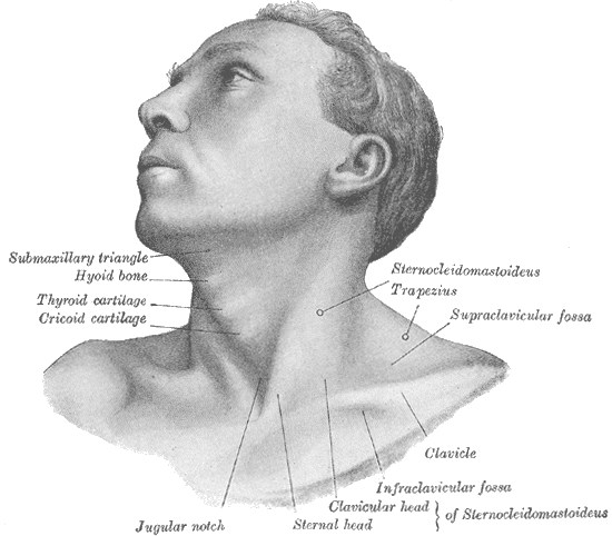 Lesson image