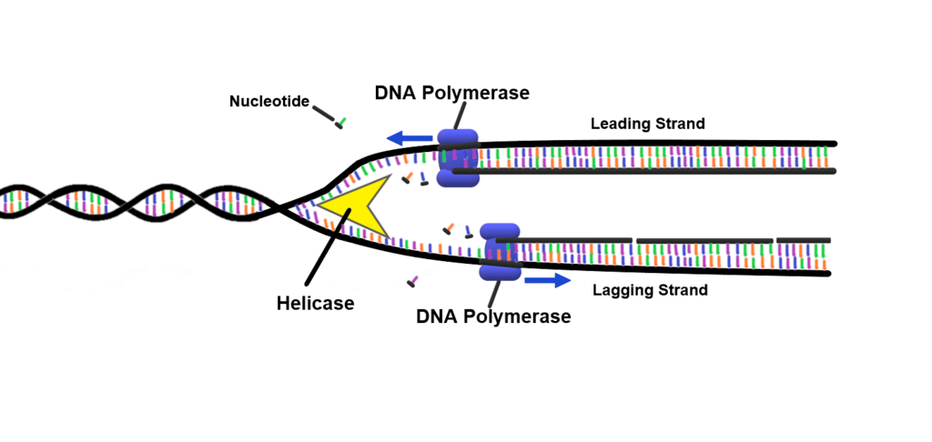 Lesson image