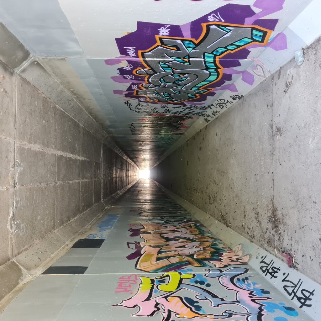 Lesson image