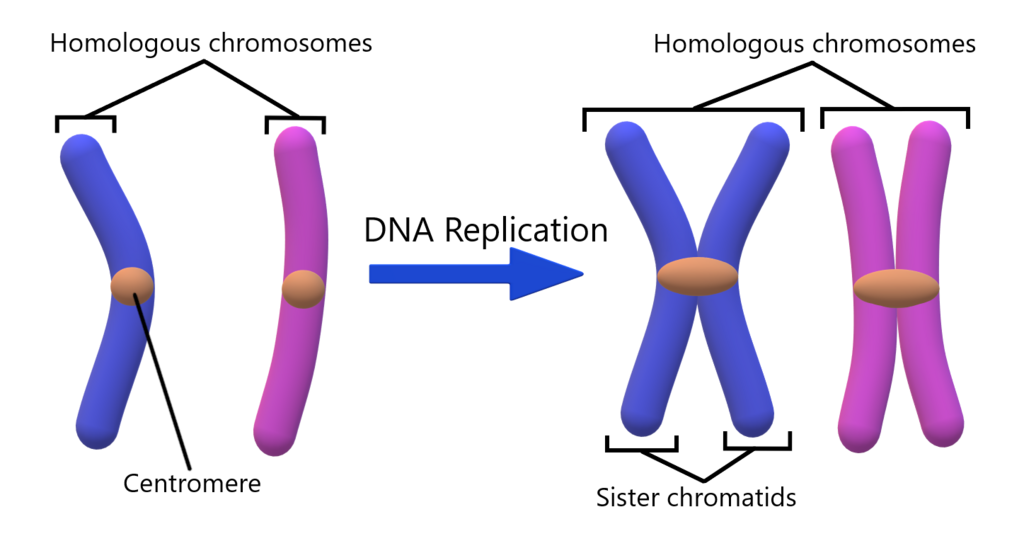 Lesson image