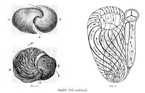 Lesson image