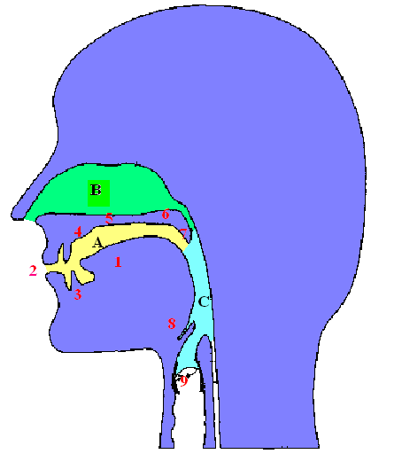 Lesson image