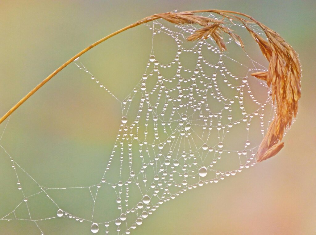 Lesson image