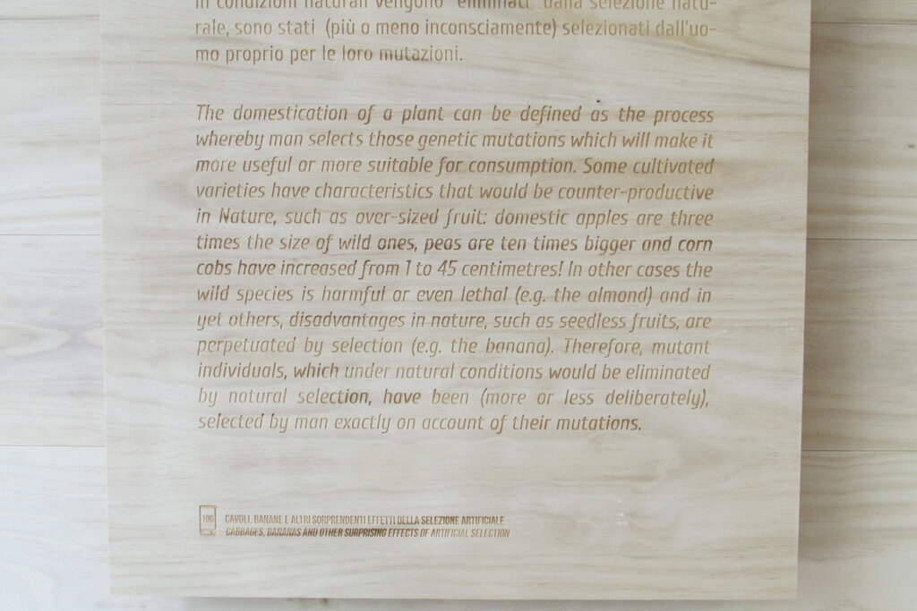 Lesson image
