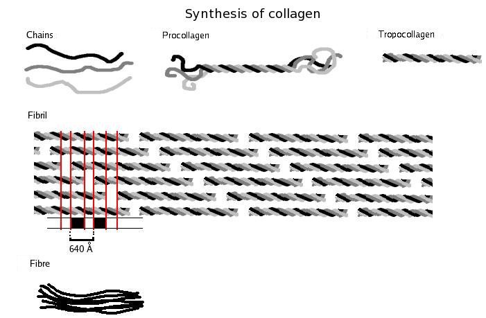 Lesson image