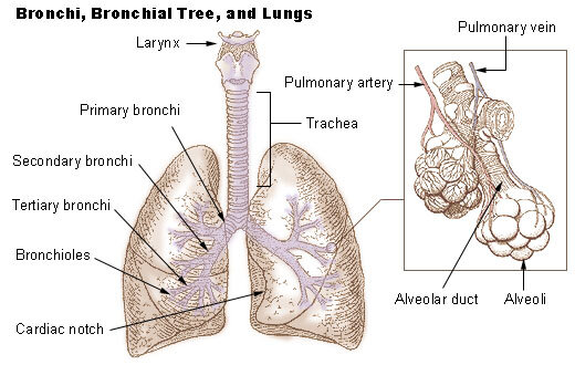 Lesson image