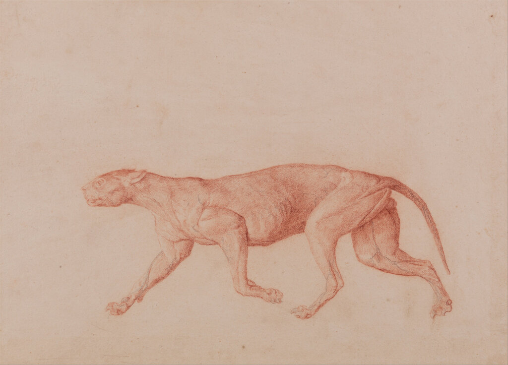 Lesson image
