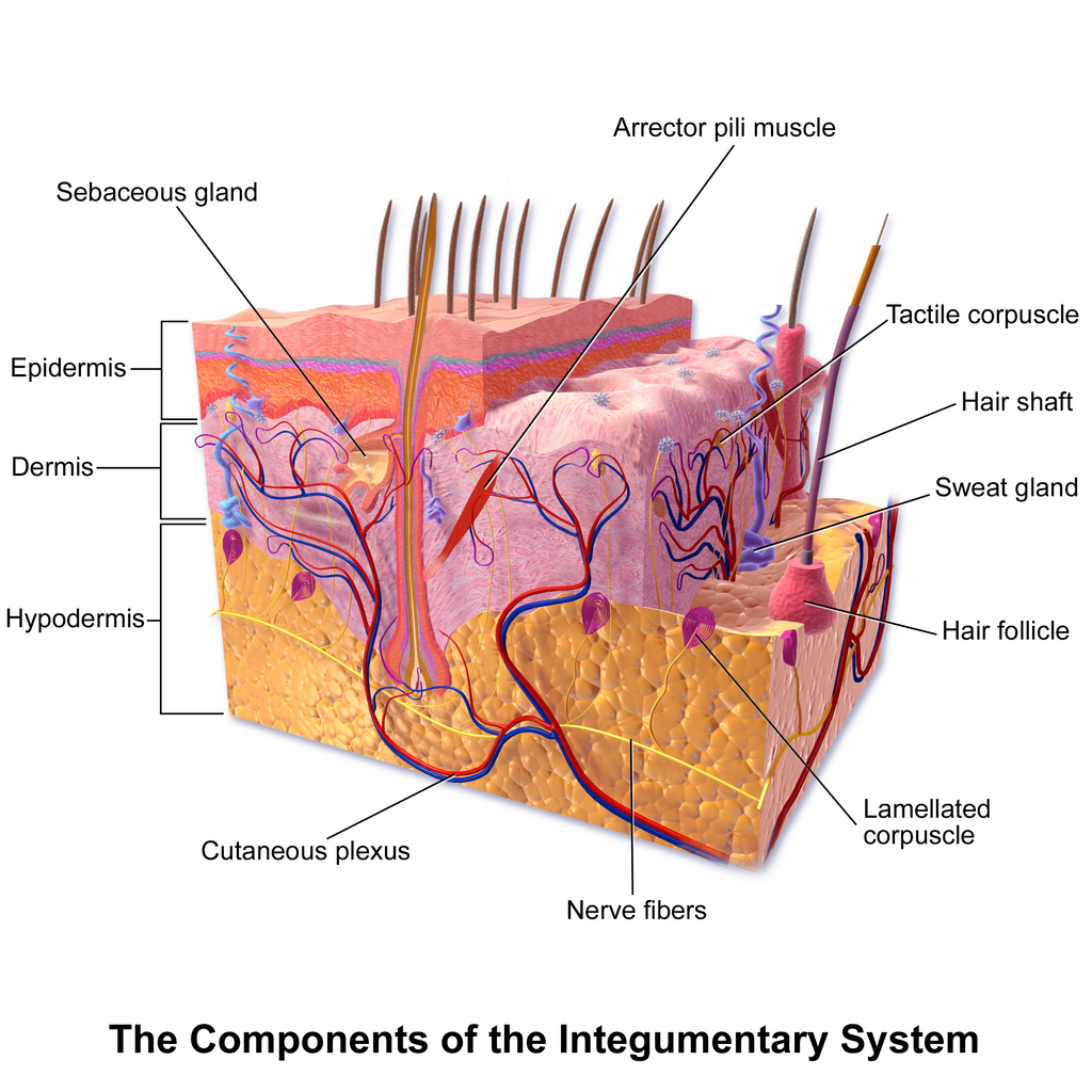 Lesson image