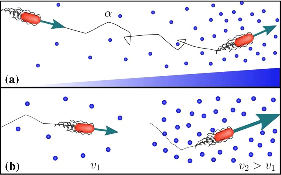 Lesson image