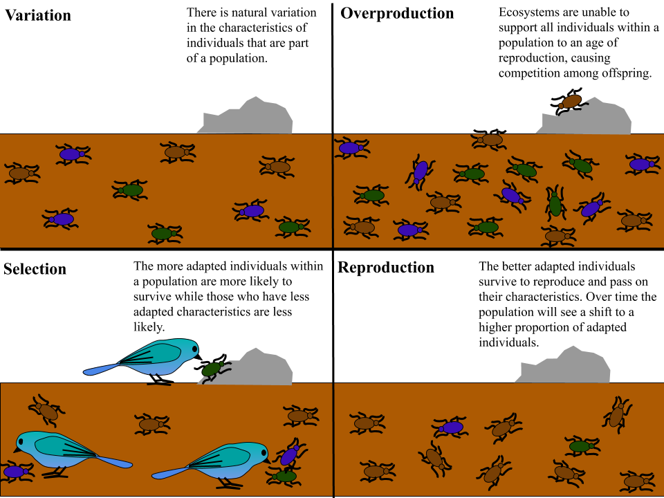 Lesson image