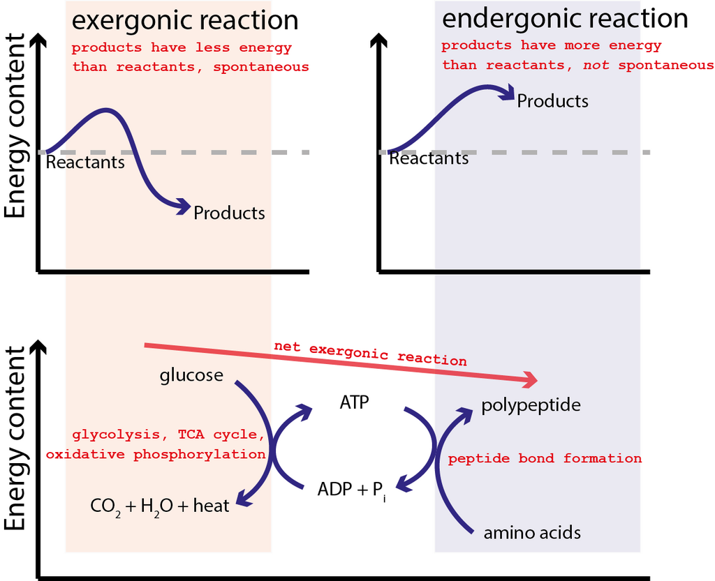 Lesson image