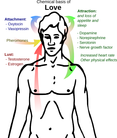 Lesson image
