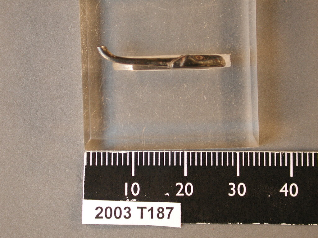Lesson image