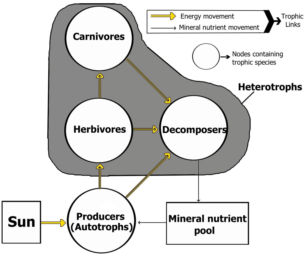 Lesson image