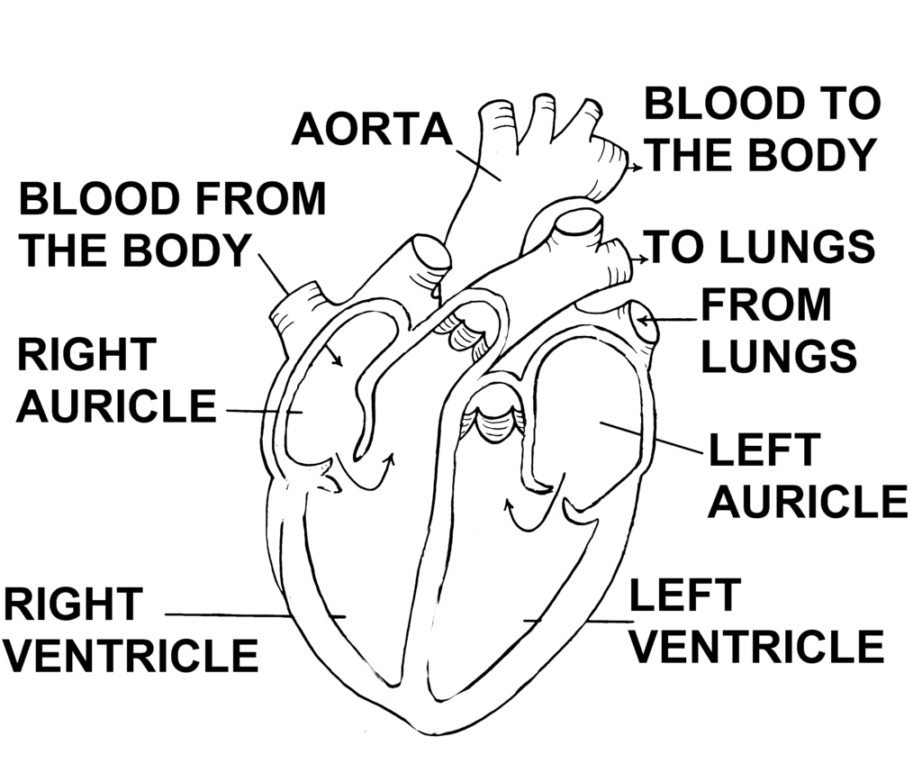 Lesson image