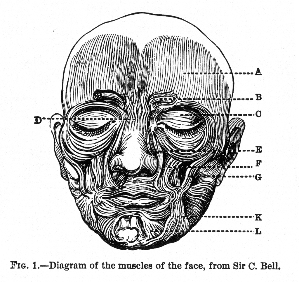 Lesson image