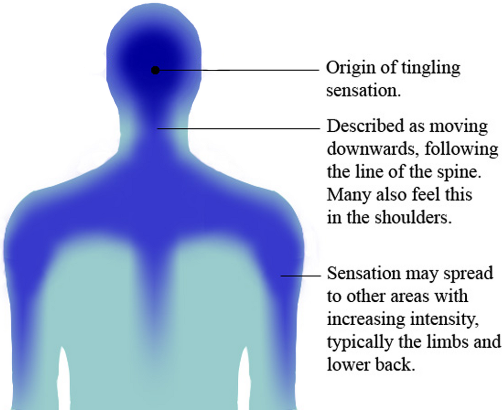 Lesson image