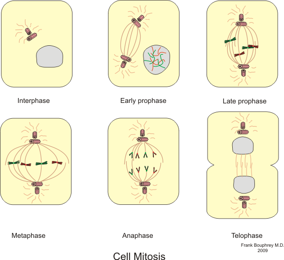 Lesson image