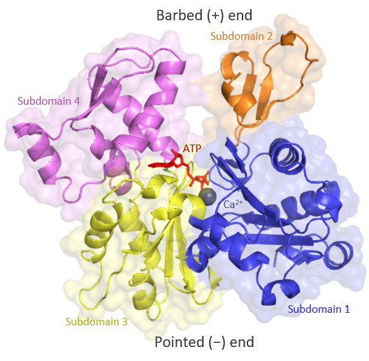 Lesson image