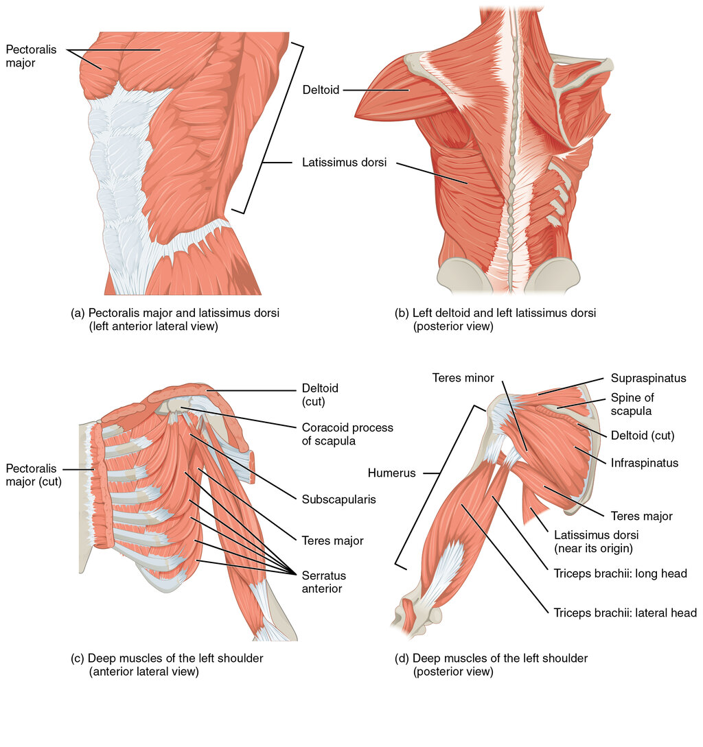 Lesson image