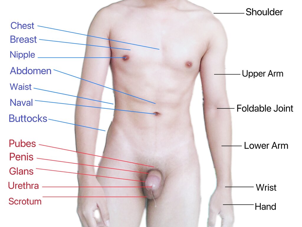 Lesson image