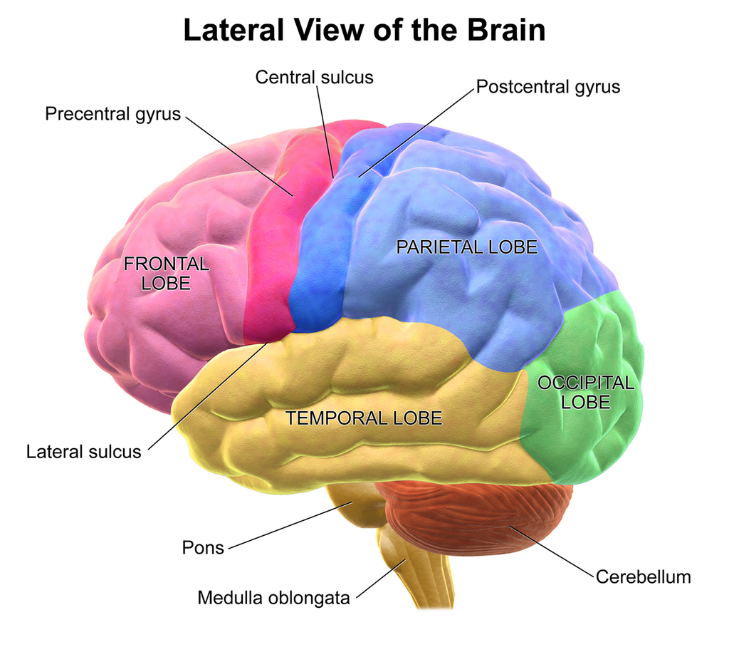 Lesson image