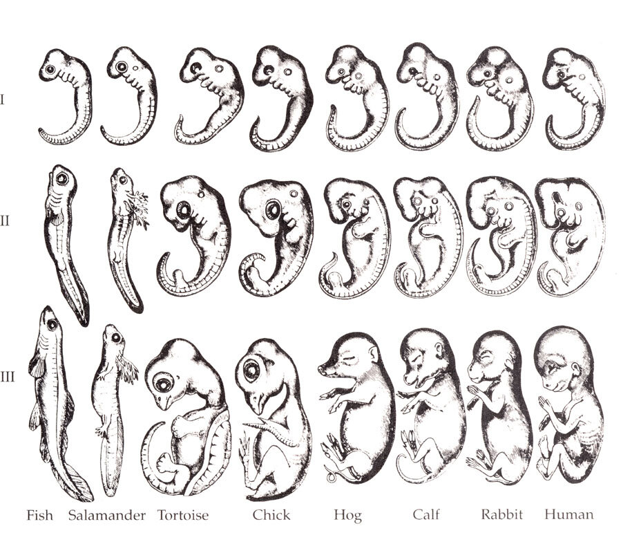 Lesson image