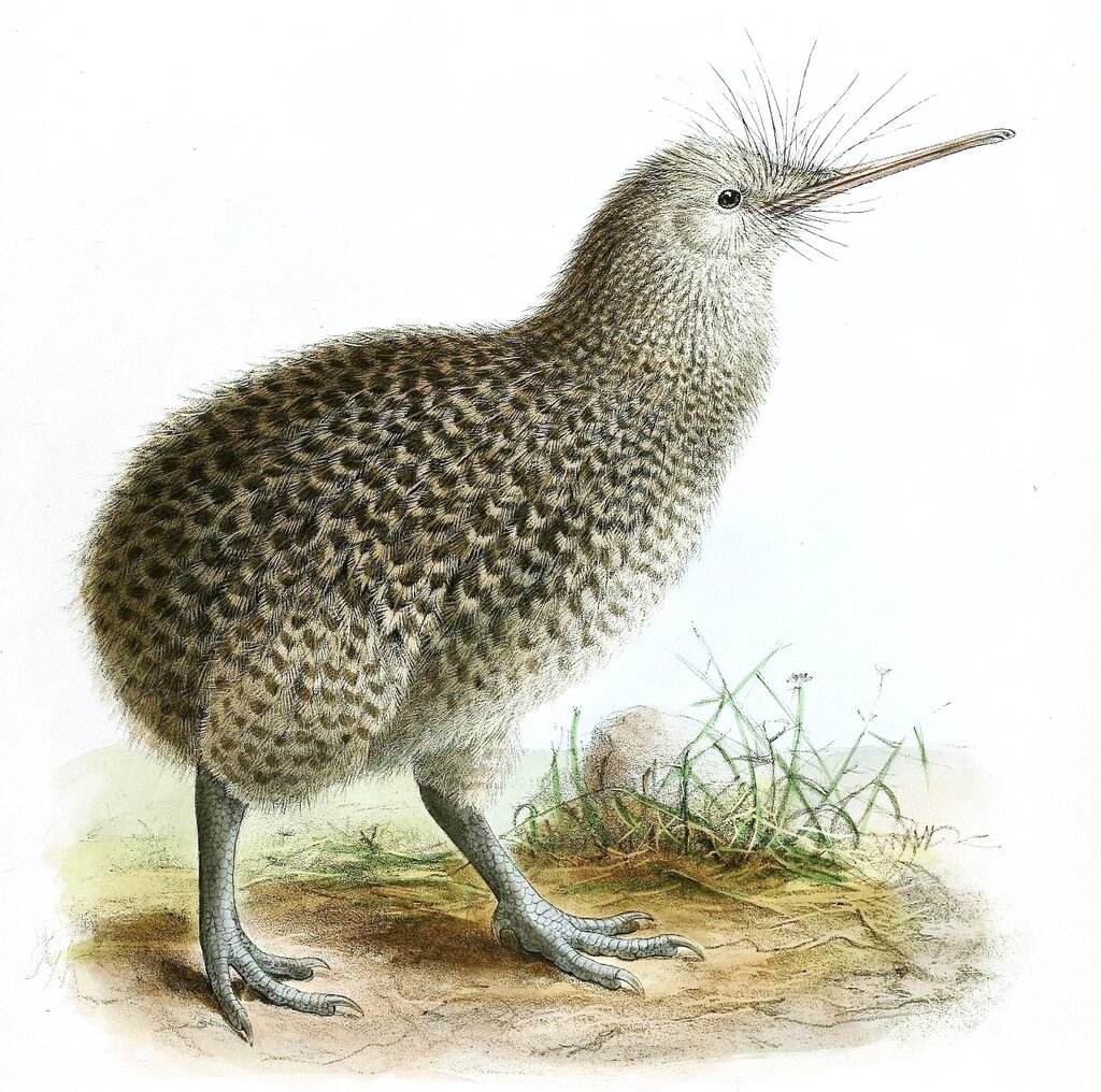 Lesson image
