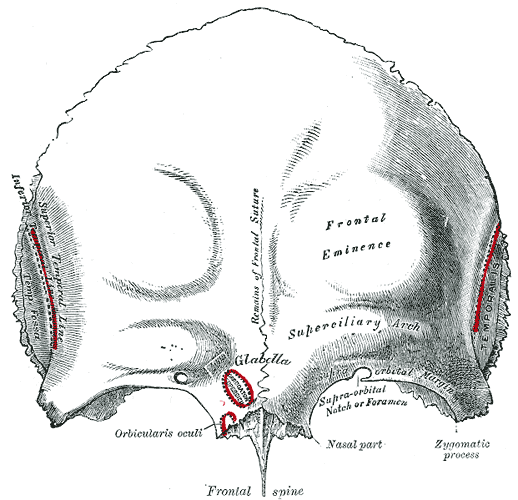 Lesson image