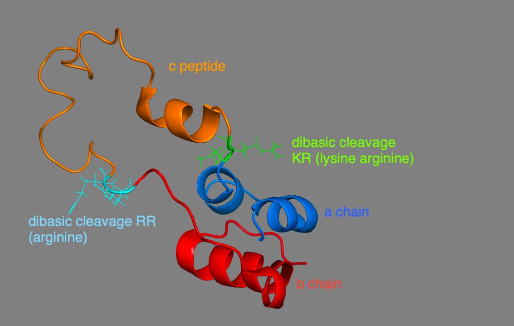 Lesson image