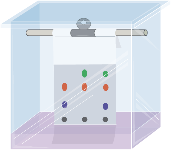 Lesson image