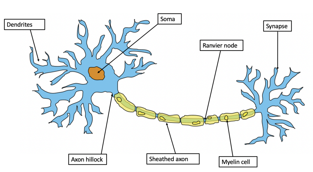 Lesson image