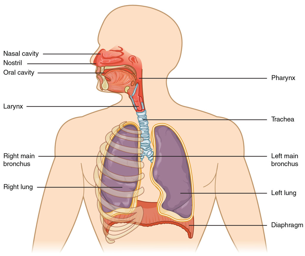 Lesson image