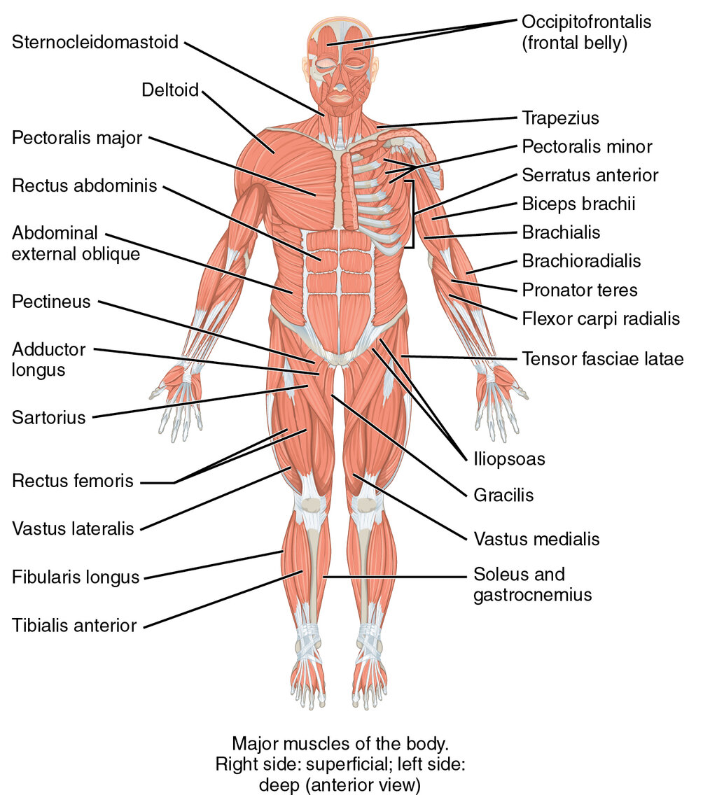 Lesson image