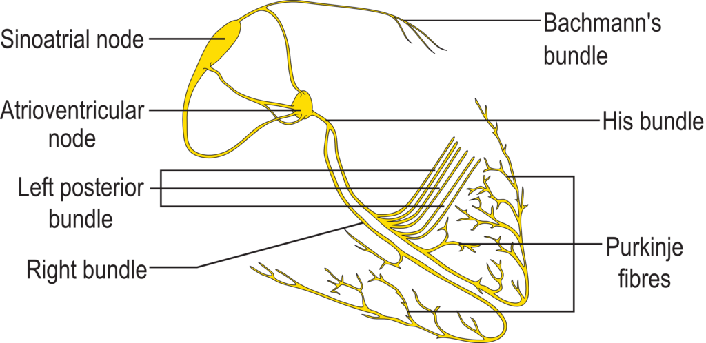 Lesson image