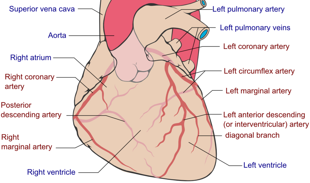 Lesson image
