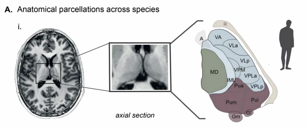 Lesson image