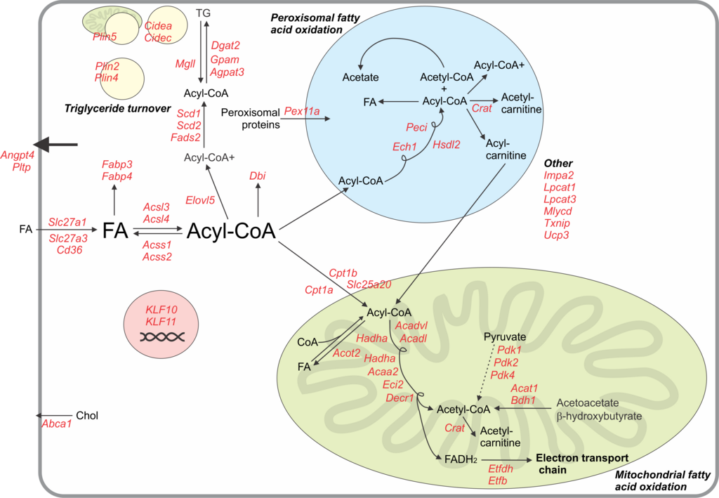 Lesson image