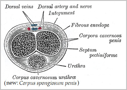Lesson image