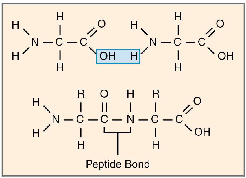 Lesson image
