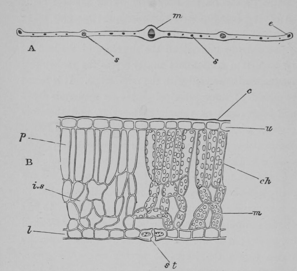 Lesson image