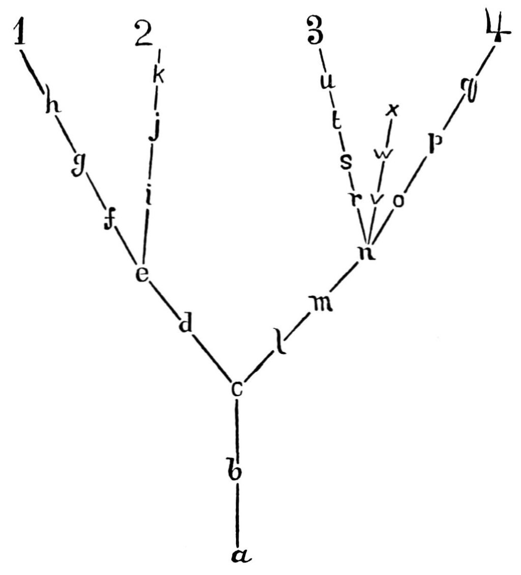 Lesson image