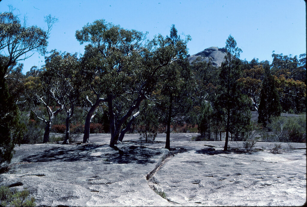 Lesson image