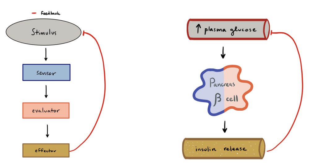 Lesson image