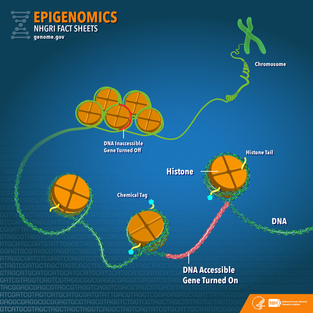 Lesson image