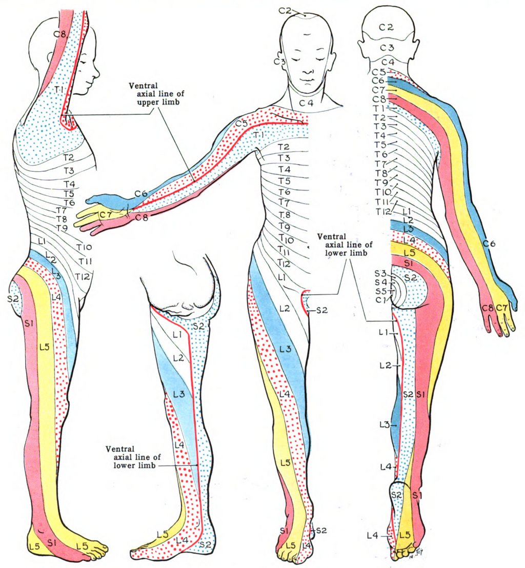 Lesson image