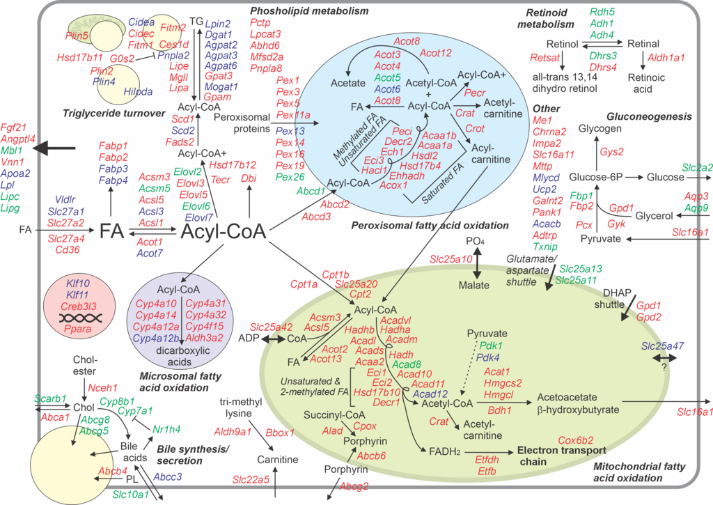 Lesson image