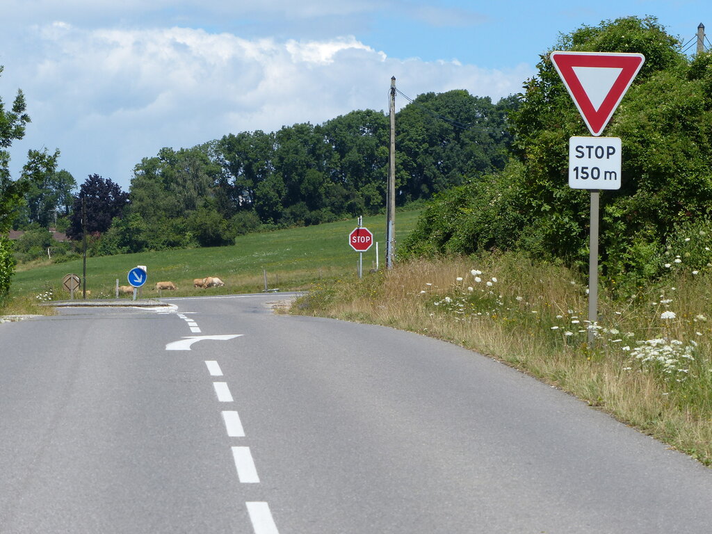 Lesson image